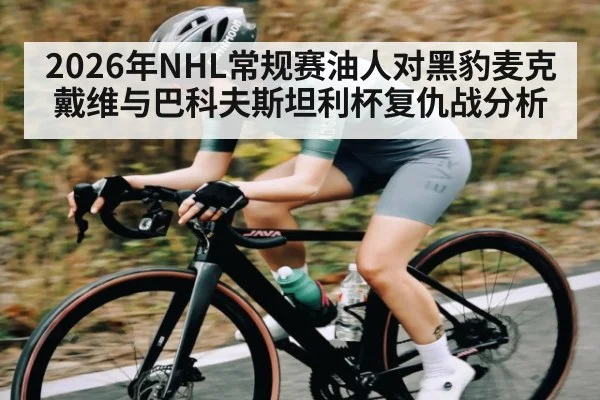 2026年NHL常规赛油人对黑豹麦克戴维与巴科夫斯坦利杯复仇战分析